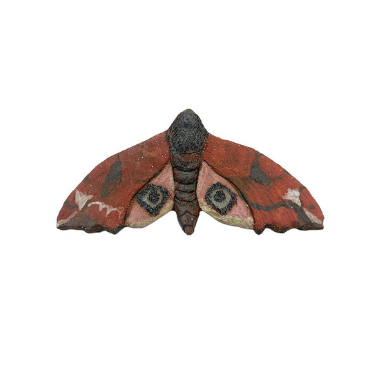 Small Eyed Hawkmoth