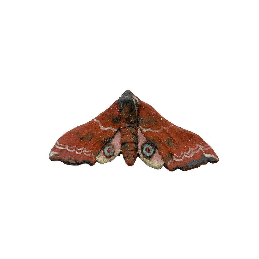 Small Eyed Hawkmoth
