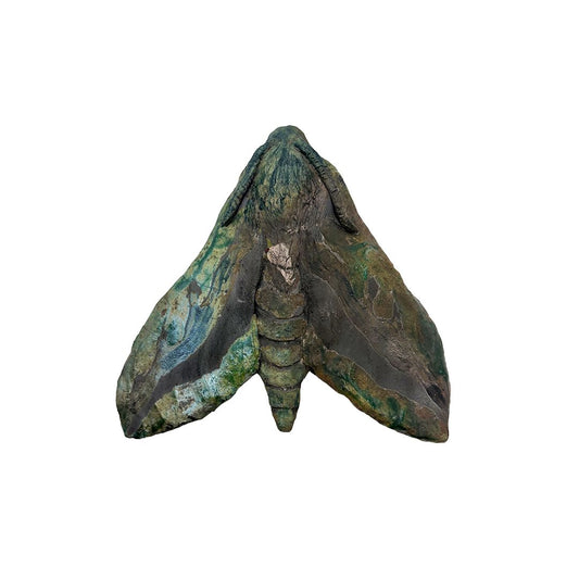 Small Bedstraw Hawkmoth
