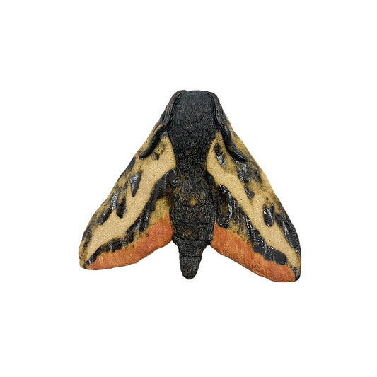 Small Bedstraw Hawkmoth