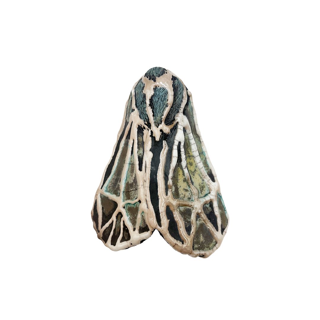 Striped Tiger Moth