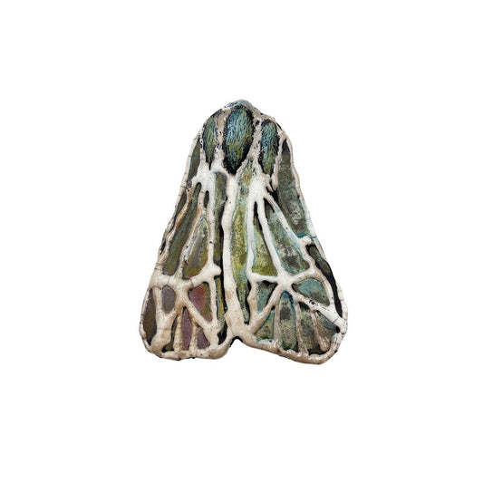 Striped Tiger Moth