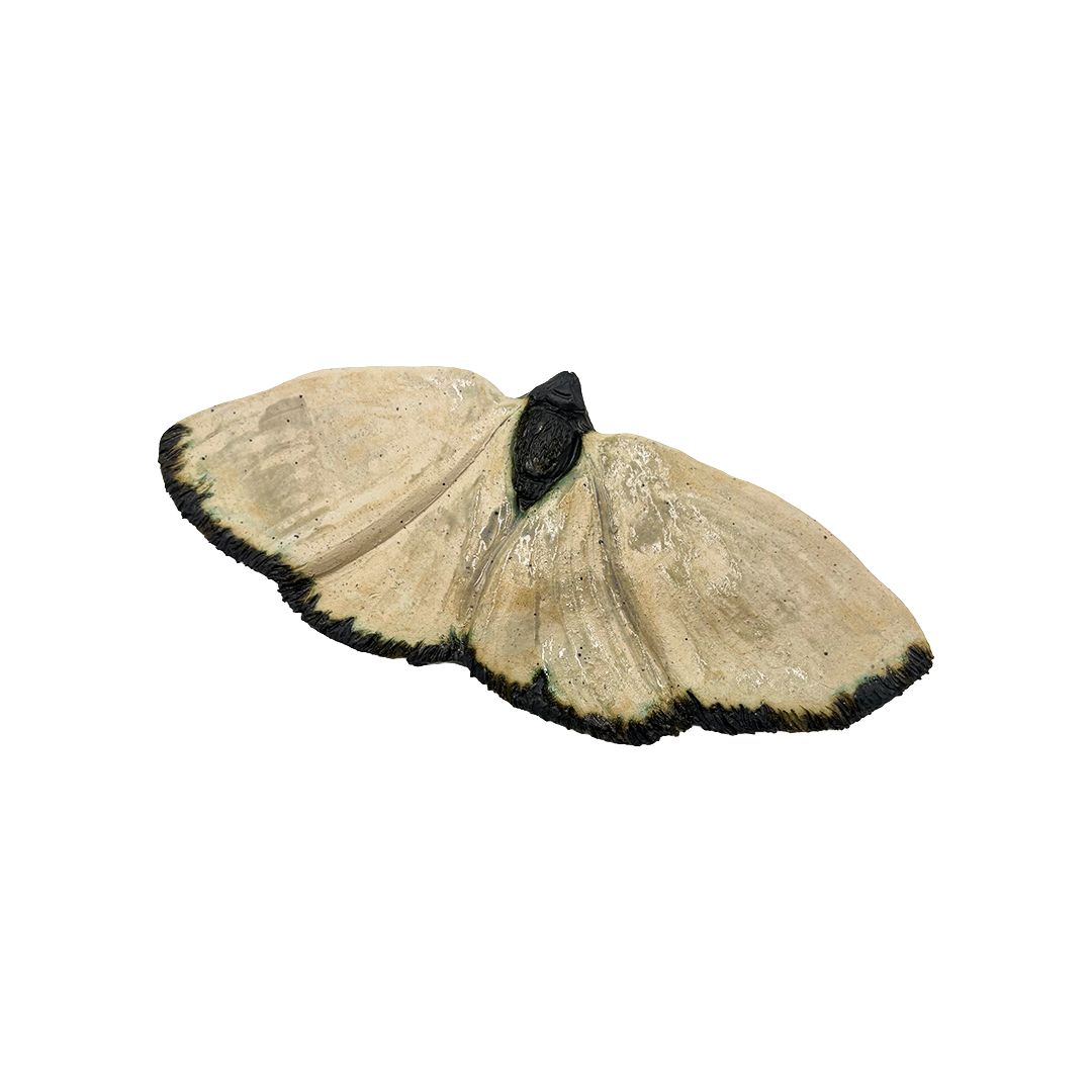 Wave Moth