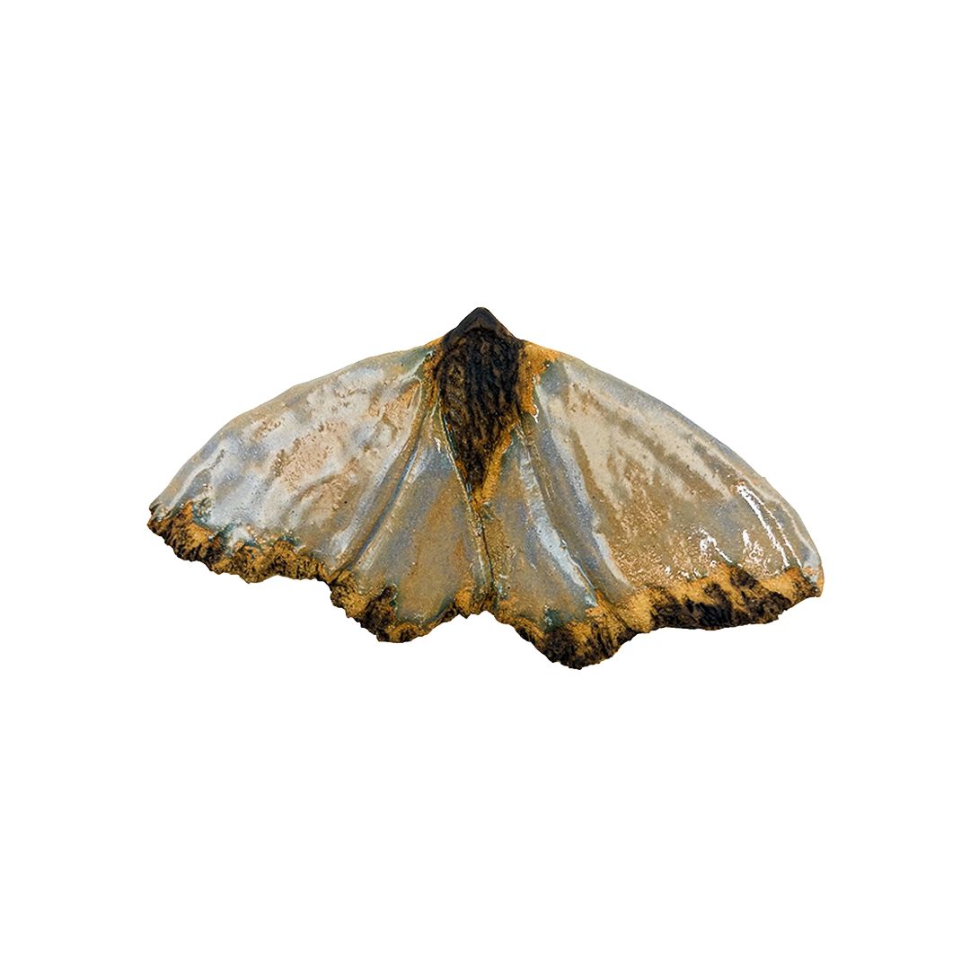 Wave Moth