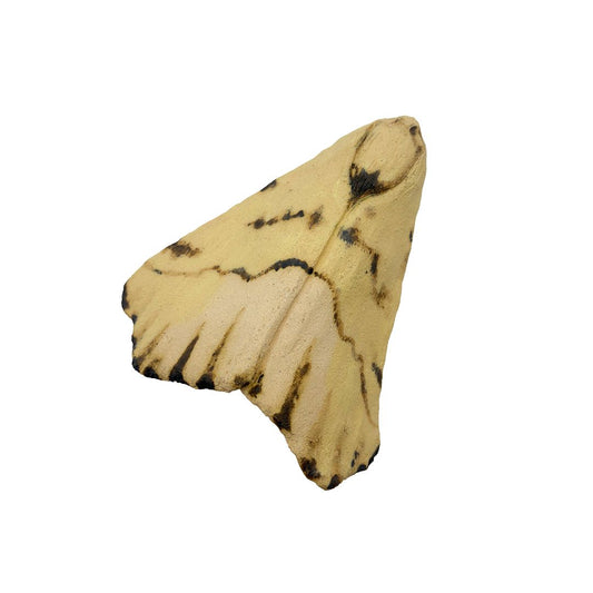 Yellow Moth