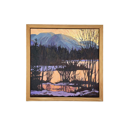 Winter is Coming to Paddy's Pond