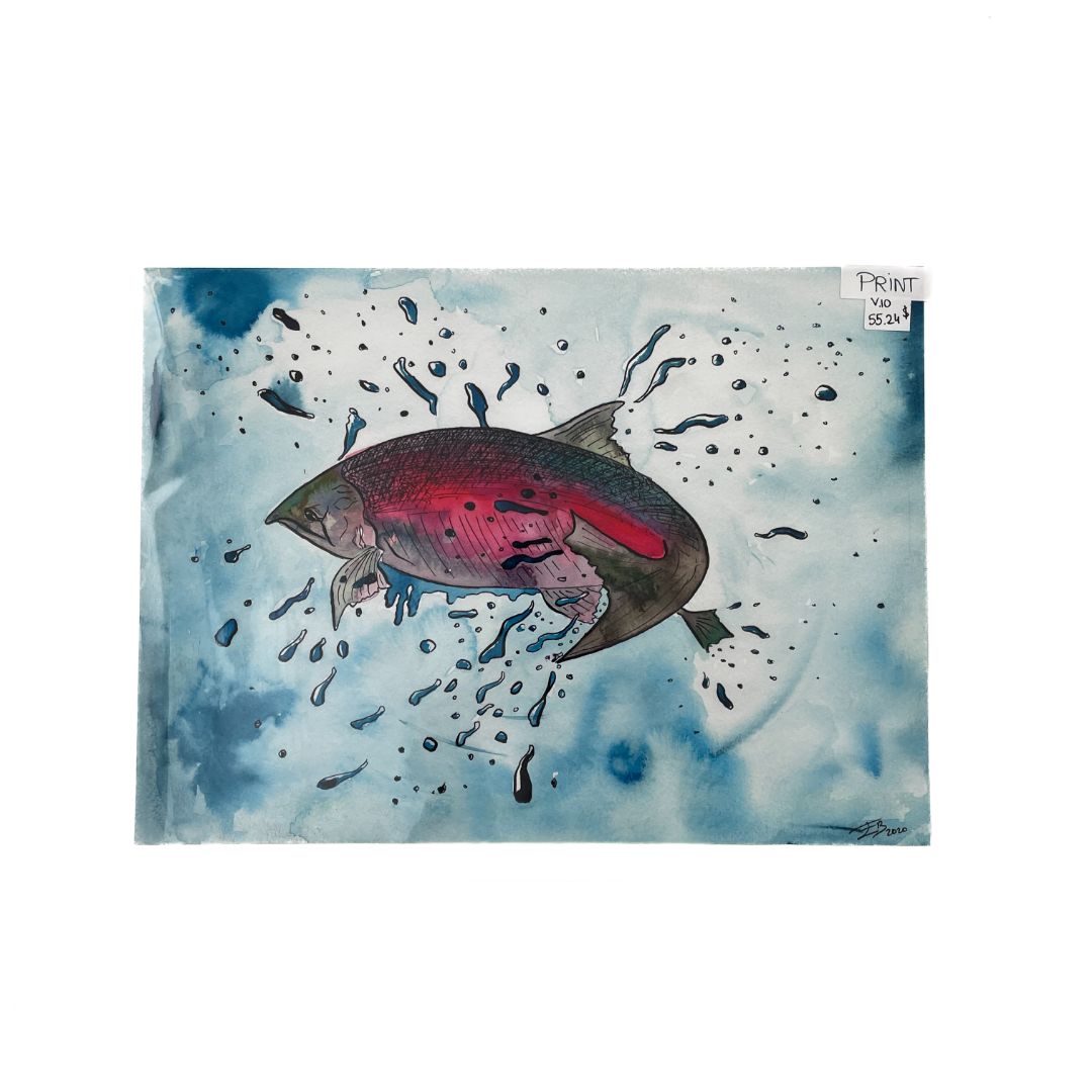 Salmon