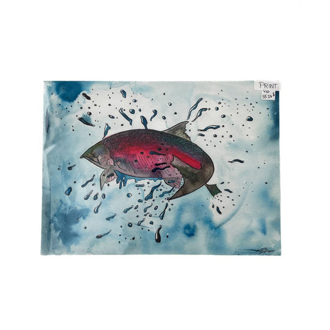 Salmon