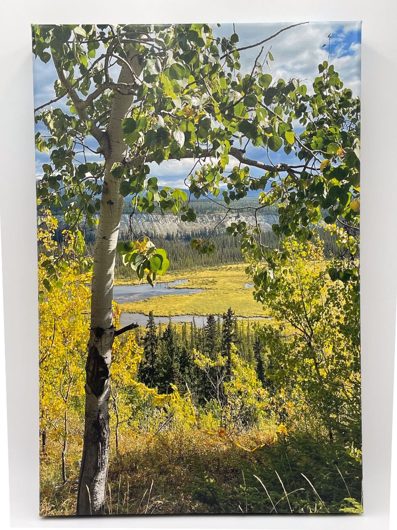 A Window On Autumn