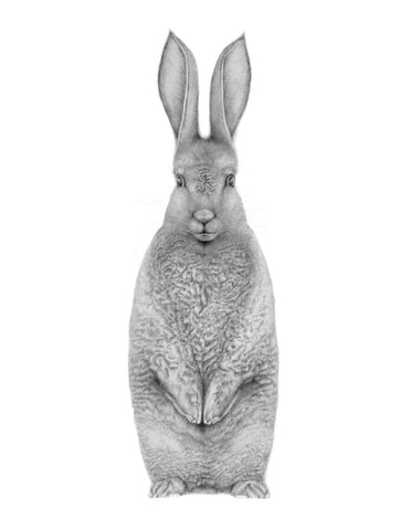 Print - Rabbit (8.5"x11")