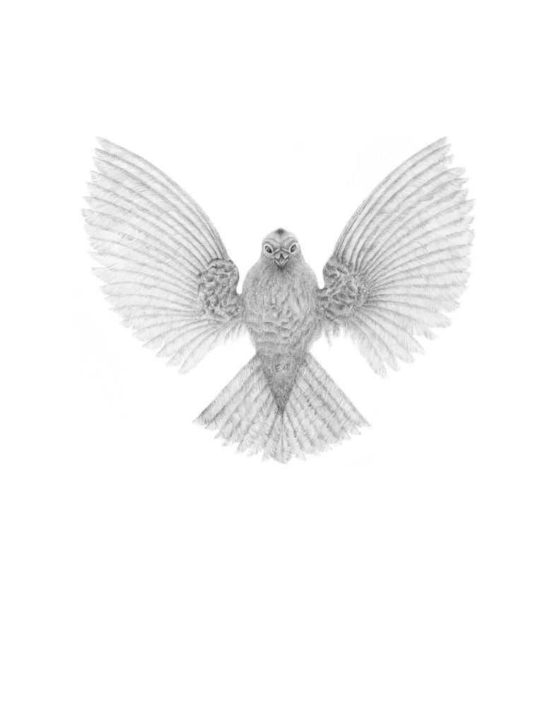 Card - Bird