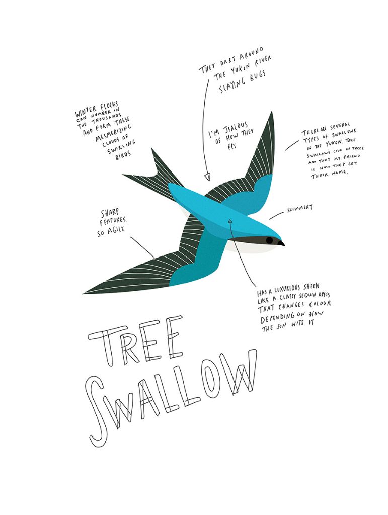 Print - Tree Swallow