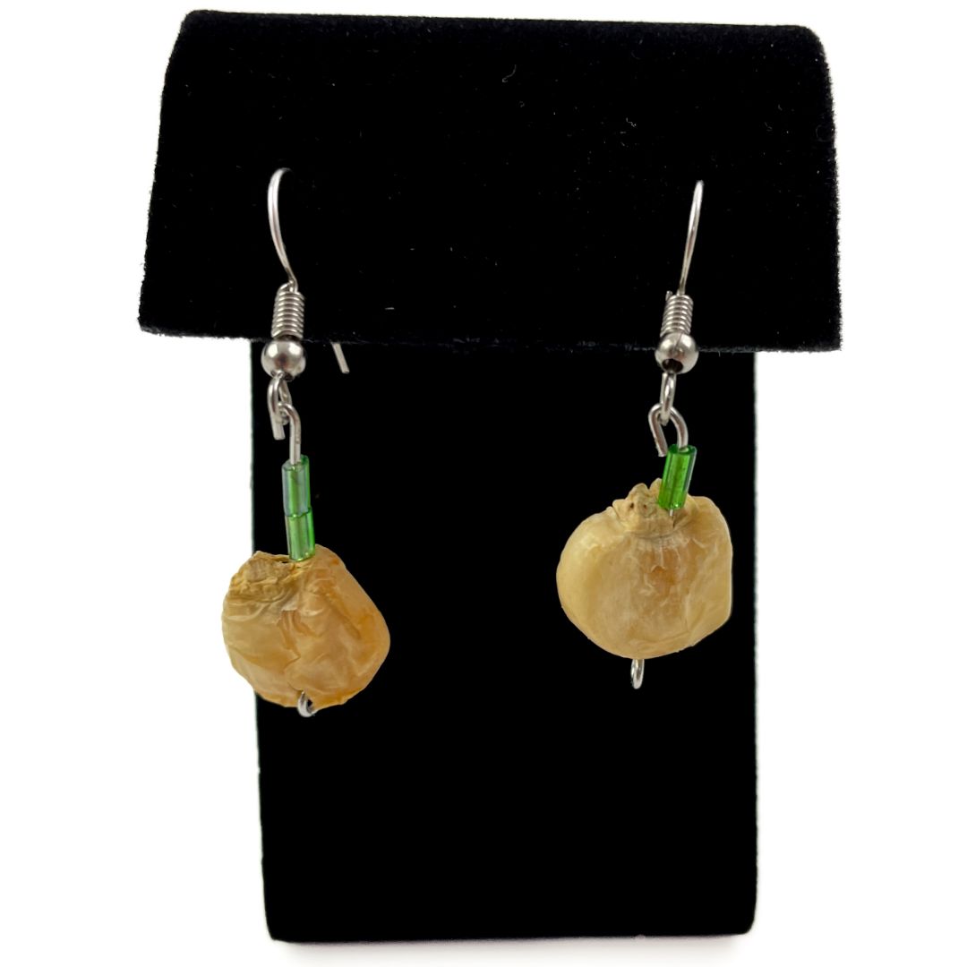 Seed Earrings