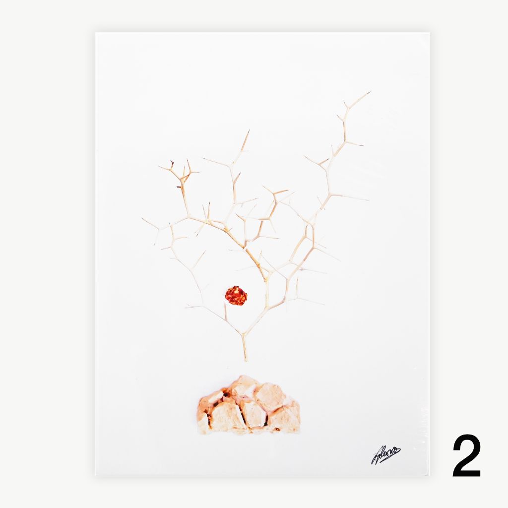 Print - Stix and Stones, 10 x 7