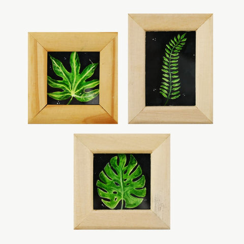 Leaves in Frames