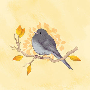 Card - Dark-Eyed Junco