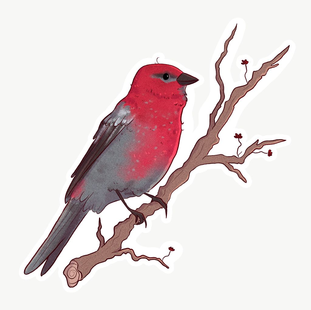 Yukon Bird Stickers - Singles