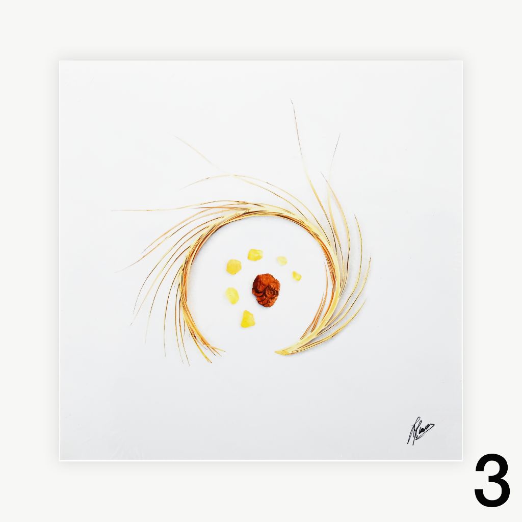 Prints - Stix and Stones, 10 x 10