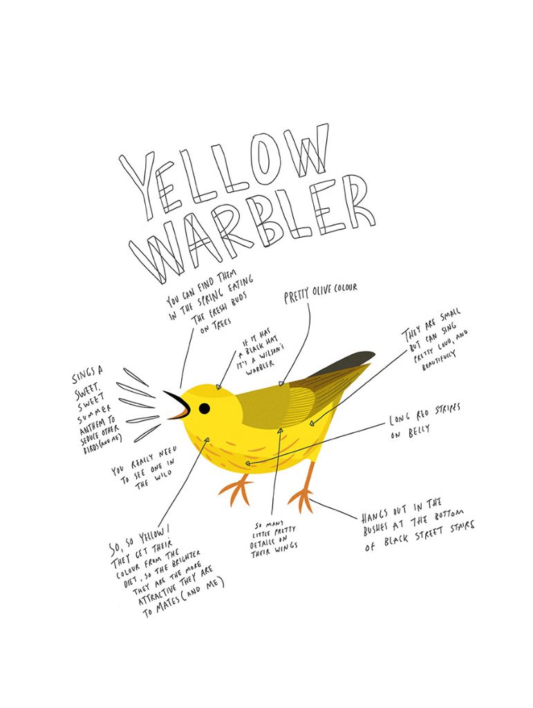 Print-Yellow Warbler