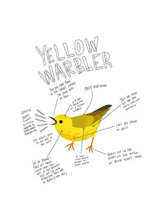 Print-Yellow Warbler