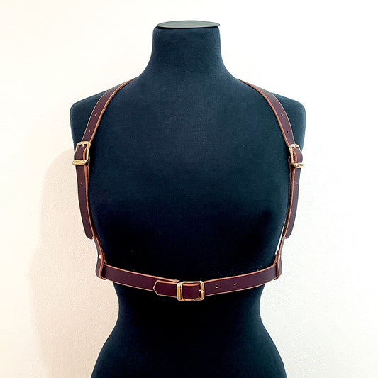 Harness