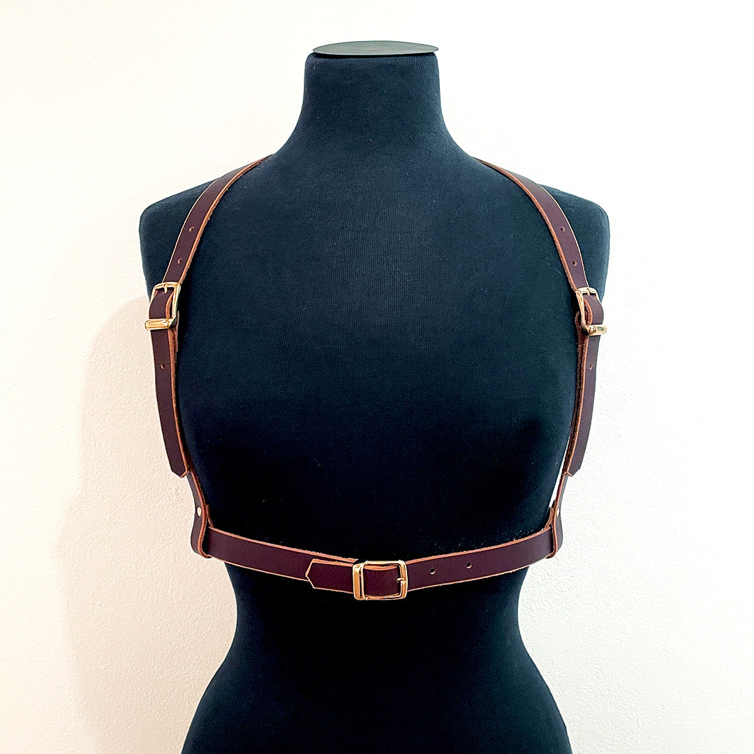 Harness