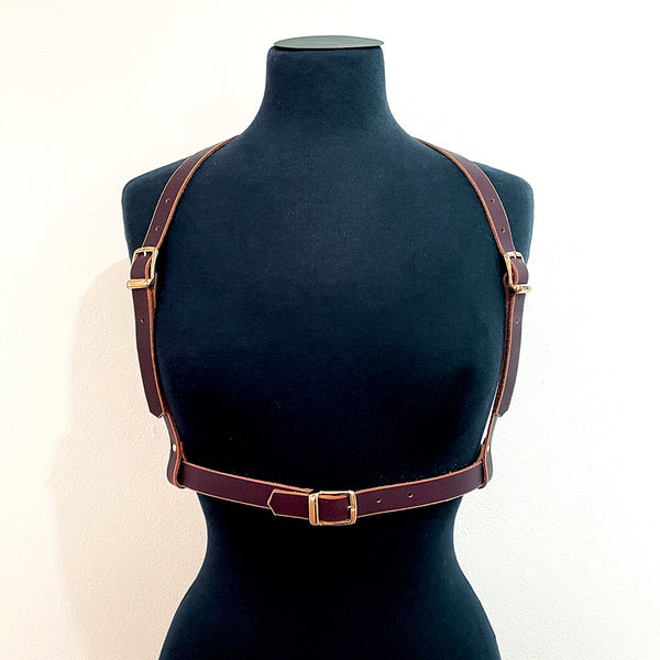 Harness