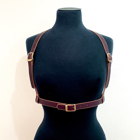 Harness