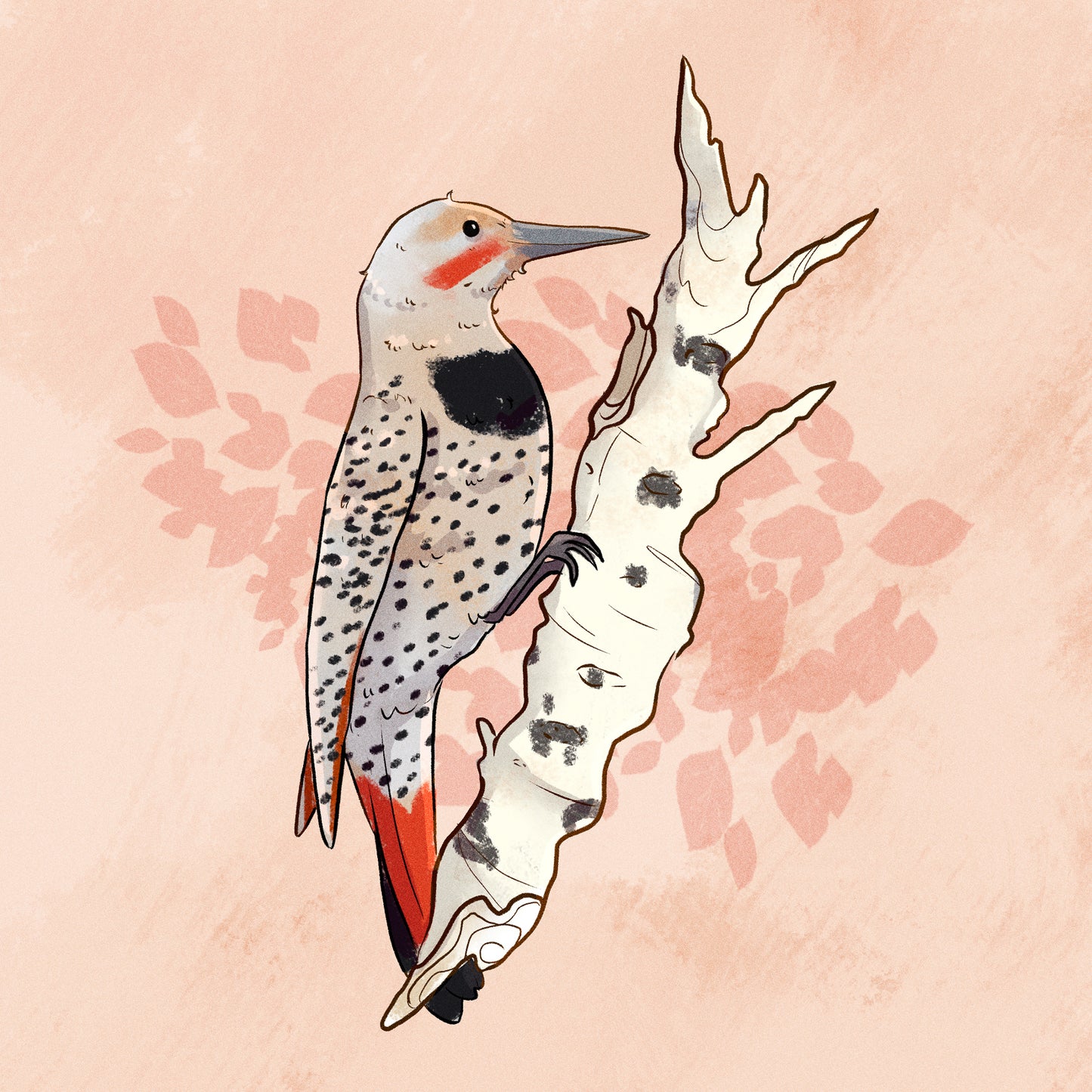 Card - Northern Flicker