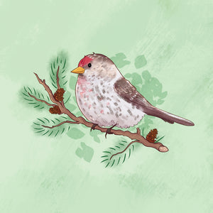 Card - Common Redpoll