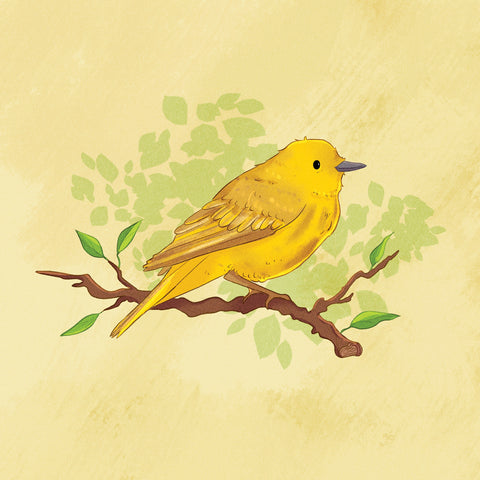 Card - Yellow Warbler