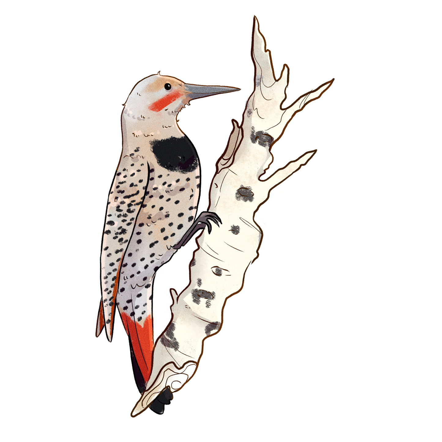 Yukon Bird Stickers - Singles
