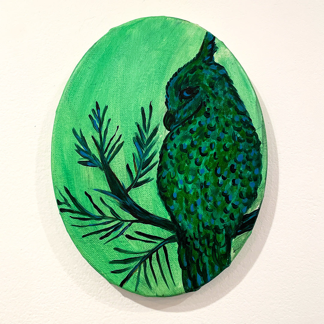 Hibou vert : Uhumishu kashipekut