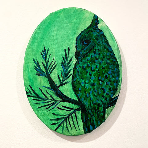 Hibou vert : Uhumishu kashipekut