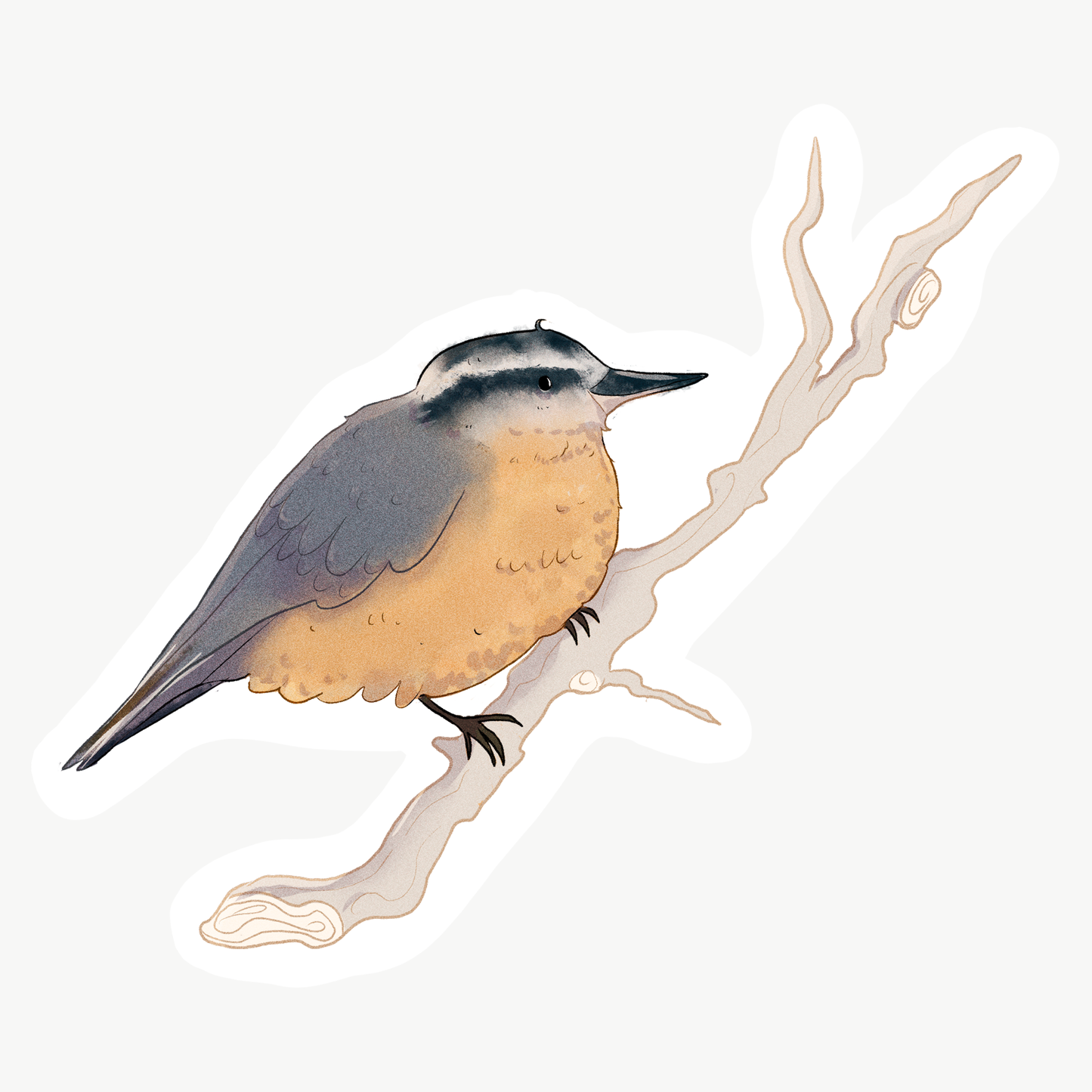 Yukon Bird Stickers - Singles
