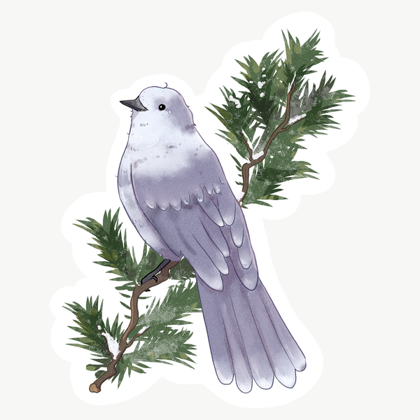 Yukon Bird Stickers - Singles