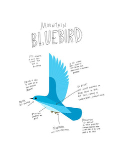 Print - Mountain Blue Bird