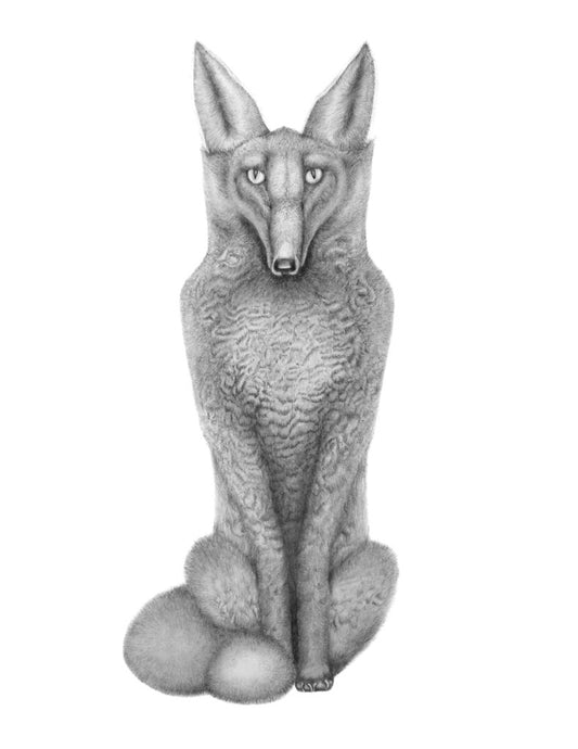 Print - Fox (8.5"x11")