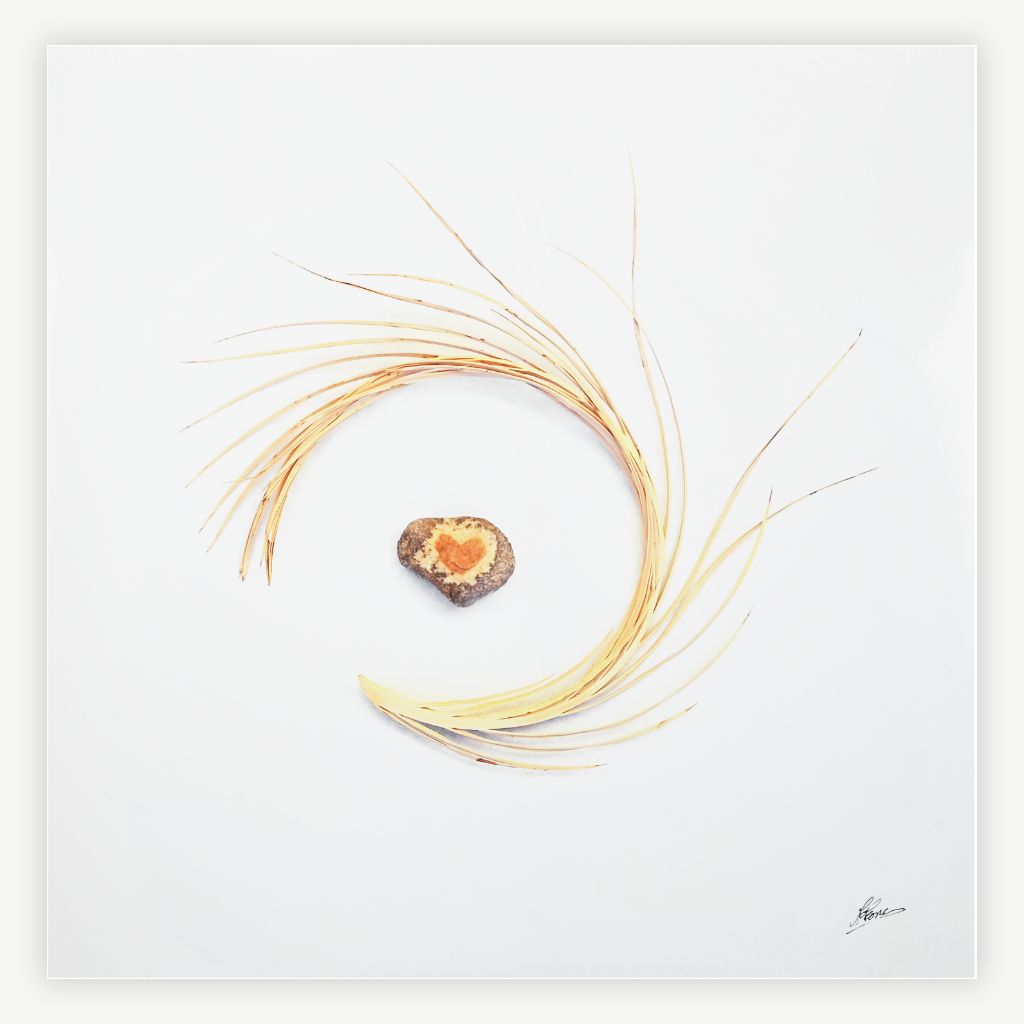 Photographic Composition 20x20