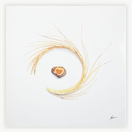 Photographic Composition 20x20