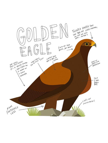 Print - Golden Eagle