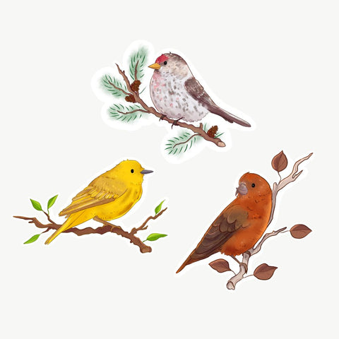 Yukon Bird Stickers - Singles