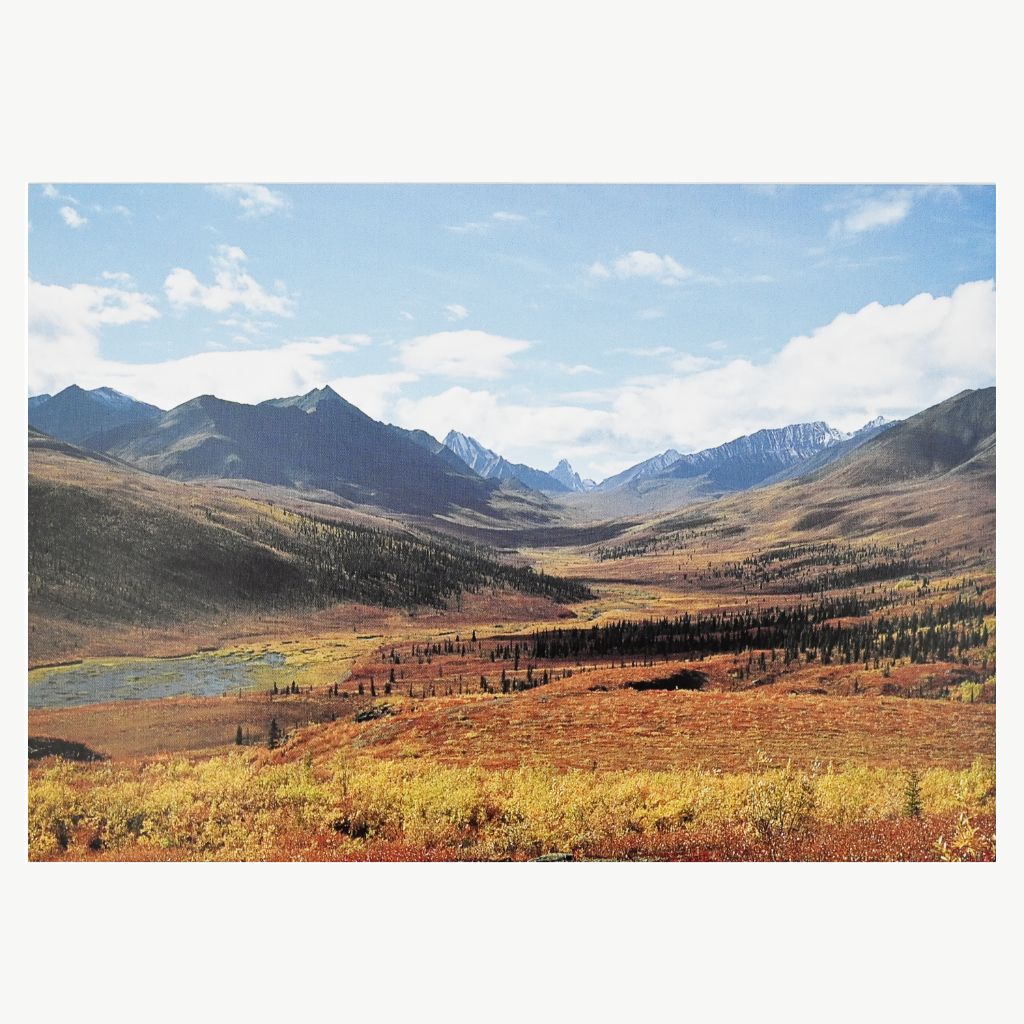 Card - North Klondike Valley