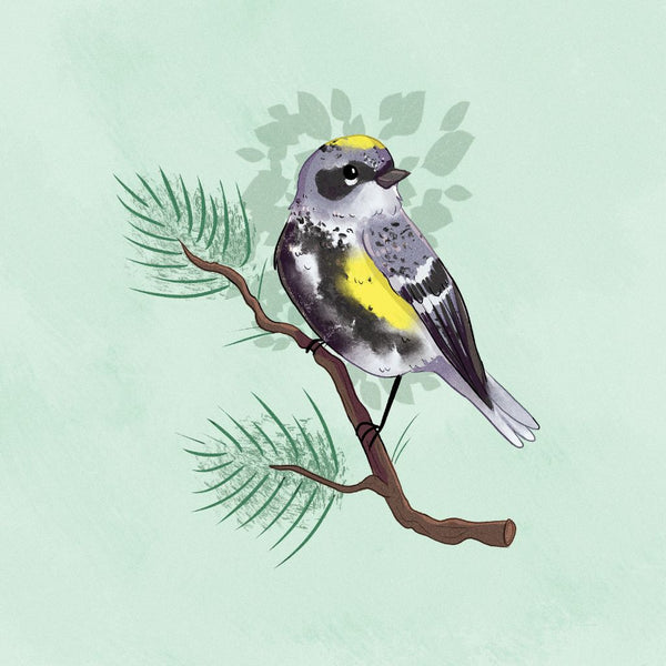 Card - Yellow-Rumped Warbler