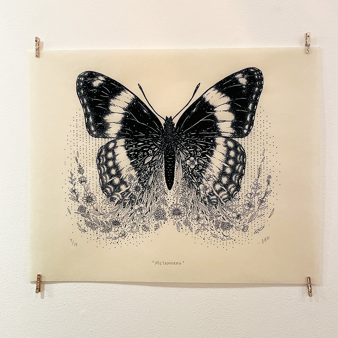 Metamorph (Limenitis Arthemis)