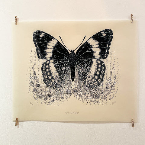 Metamorph (Limenitis Arthemis)
