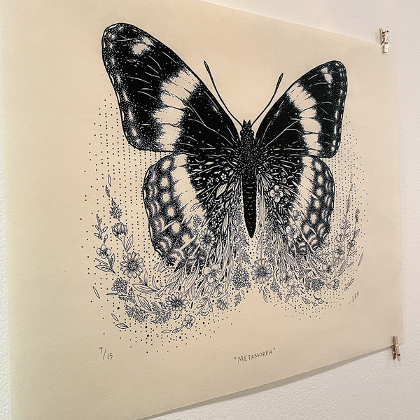 Metamorph (Limenitis Arthemis)